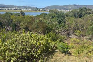 Commercial Property for Sale in Knysna Central Western Cape